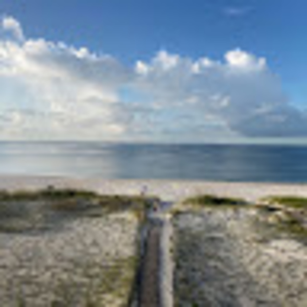 Meet your Posher, Bonnie